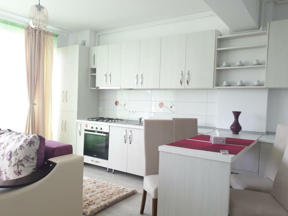 Apartament Coresi Brassó Kültér fotó